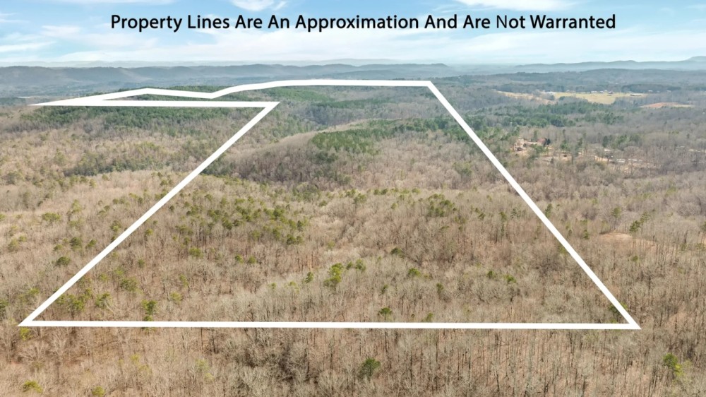 254 Acres Prime Hunting Recreation Investment Opportunity featured image