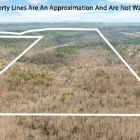 254 Acres Prime Hunting Recreation Investment Opportunity