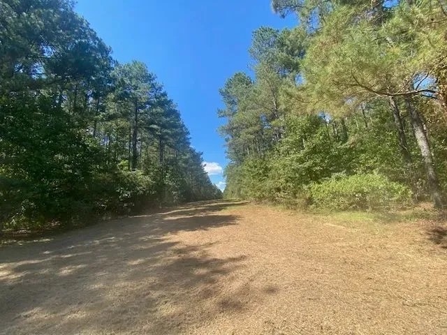 26 acres- Mature Timber- Salem School District featured image