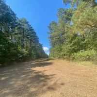 26 acres- Mature Timber- Salem School District