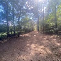 26 acres- Mature Timber- Salem School District images 2