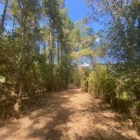 26 acres- Mature Timber- Salem School District images 4