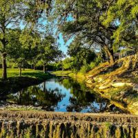 14440 Nutty Brown RD images 4
