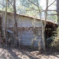 Raper Land Sale images 4
