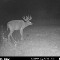 Nearly 1 000-acre Landholding for Sale in Wisconsin images 1