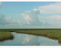 Texas Point NWR 8,972 acres Waterfowl Hunting in Sabine Pass, TX