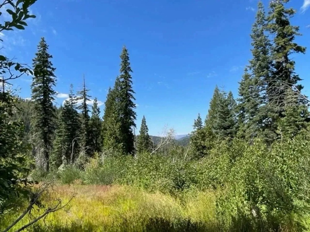 Red Mountain Basin featured image
