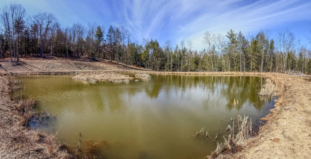 16 acres Secluded Recreational Land with Pond in Woodhull NY Black Ash Rd featured image