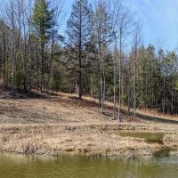 16 acres Secluded Recreational Land with Pond in Woodhull NY Black Ash Rd images 2