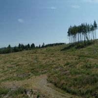 Truly stunning 105 acres images 4