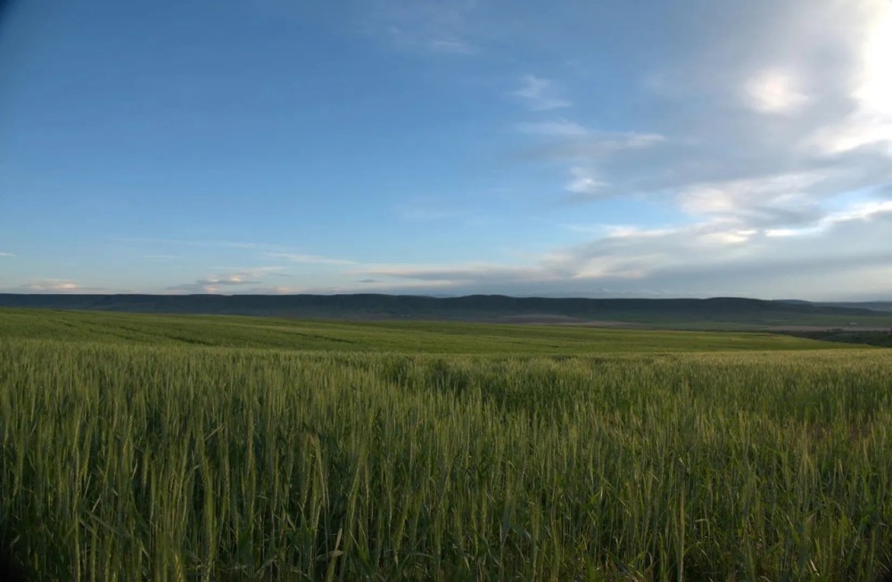 Steinmetz Farm featured image