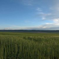 Steinmetz Farm