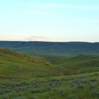 Steinmetz Farm images 2