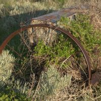 Steinmetz Farm images 3