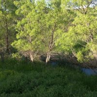 Steinmetz Farm images 4