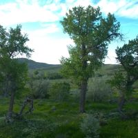 Steinmetz Farm images 5