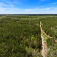 88.74 acre Turn Key Hunting and Investment Land For Sale in Washington County NC images 4