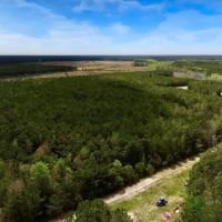 88.74 acre Turn Key Hunting and Investment Land For Sale in Washington County NC images 5