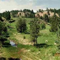 Black Hills Angostura Ranch images 4