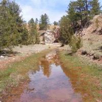 Black Hills Angostura Ranch images 5