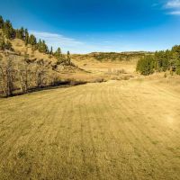 Beartooth Foothills Ranch images 2