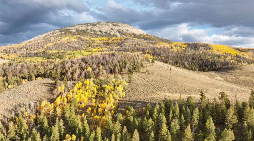 Tomichi Dome Hunting Ranch featured image