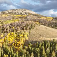 Tomichi Dome Hunting Ranch