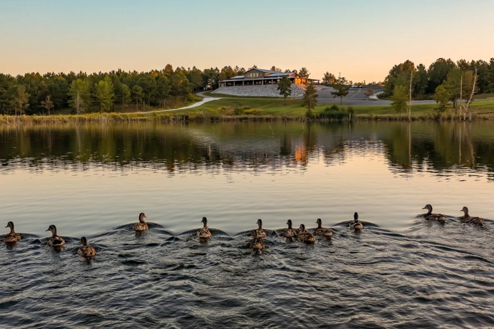 Soggy Bottom Lodge - World Class Hunting Fishing Shooting Resort featured image
