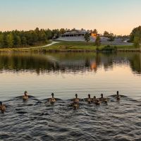 Soggy Bottom Lodge - World Class Hunting Fishing Shooting Resort