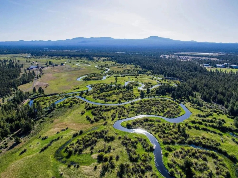 K Bar J Ranch featured image