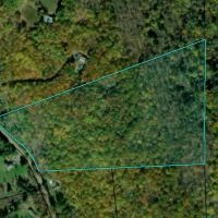 22 acre Hunting and Recreational Property in Erin NY Thayer Rd images 5