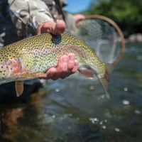 Elk Creek Ranch - Lot 48 images 3