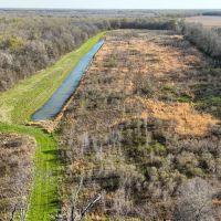 LA - Richland 240 acres - images 2