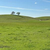 New Property733.4 - Acres Waterford CA 95386 images 2