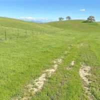 New Property733.4 - Acres Waterford CA 95386 images 3