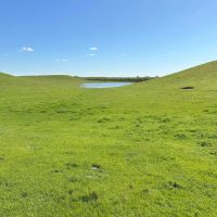 New Property733.4 - Acres Waterford CA 95386 images 4