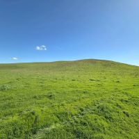 New Property733.4 - Acres Waterford CA 95386 images 5