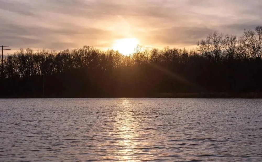 Southern Illinois Sanctuary Tract 1 featured image