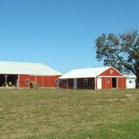 245 Acres 3 Bed 2 Bath Hay Barn Shop Horse Barn Carrals images 2