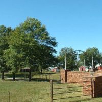 245 Acres 3 Bed 2 Bath Hay Barn Shop Horse Barn Carrals images 4