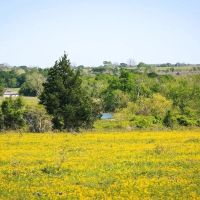 103 acres Chadwick Hogan Rd Chappell Hill TX 77426 images 5