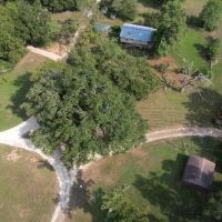0 Private Road 6903 Palestine Texas 75803 images 4