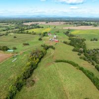 Spring Hill Farm in Culpeper County VA images 3
