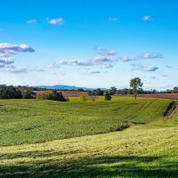 Spring Hill Farm in Culpeper County VA images 5