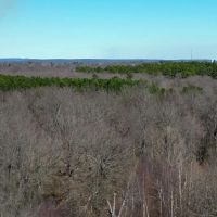 130 Acres Hunting Ranch For Sale Antlers OK images 5