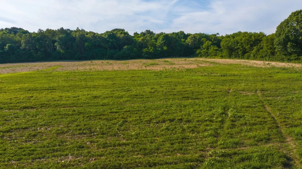 Welcome to an exceptional opportunity in the serene Midway community of Greene County featured image