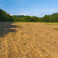 Welcome to an exceptional opportunity in the serene Midway community of Greene County images 2