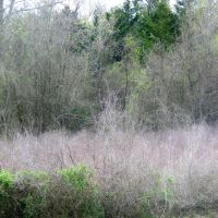 77 Acre Blank Slate for Your Imagination - Noble OK images 2