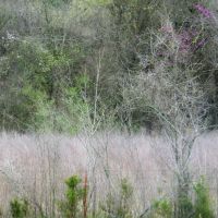 77 Acre Blank Slate for Your Imagination - Noble OK images 3