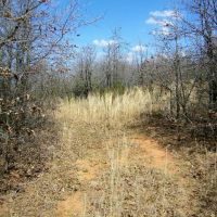 77 Acre Blank Slate for Your Imagination - Noble OK images 4